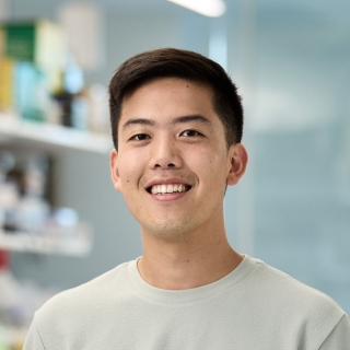 Genome Modeling and Design Across All Domains of Life